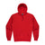 Torquay Mens Hoodies