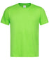 Men's Classic-T Organic